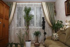 IMG_1246
