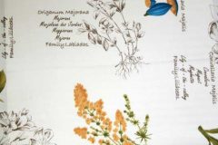Mediterraneo-Seed-02.-Сатин